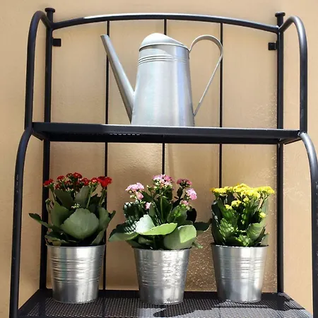 Seame Holiday home *